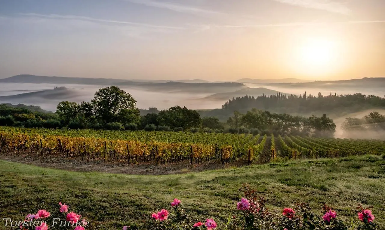 Agriturismo Mocine Asciano Séjour à la ferme