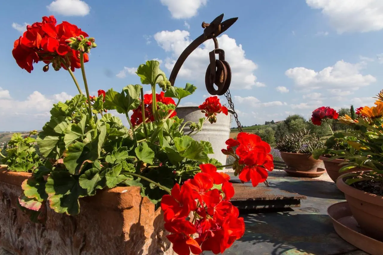 Agriturismo Mocine Asciano