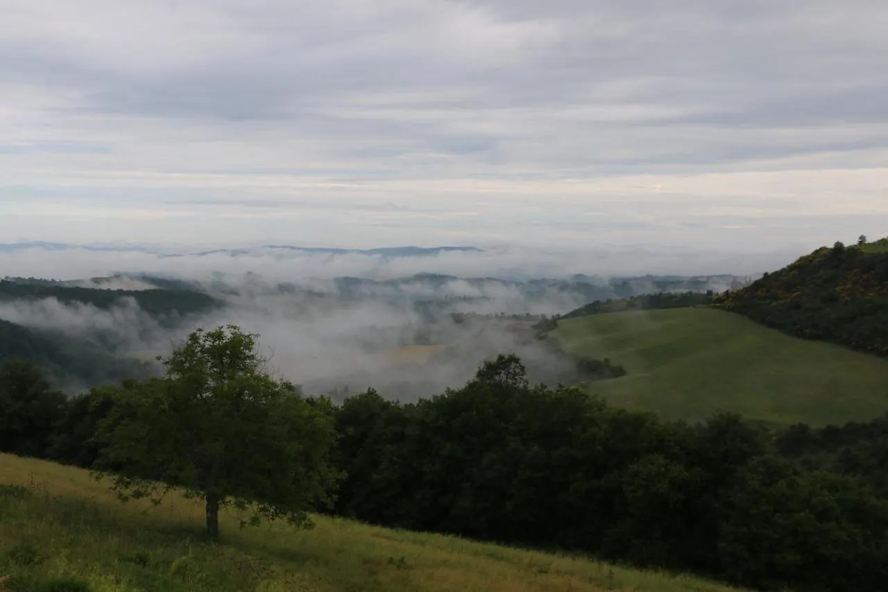 Agriturismo Mocine Asciano