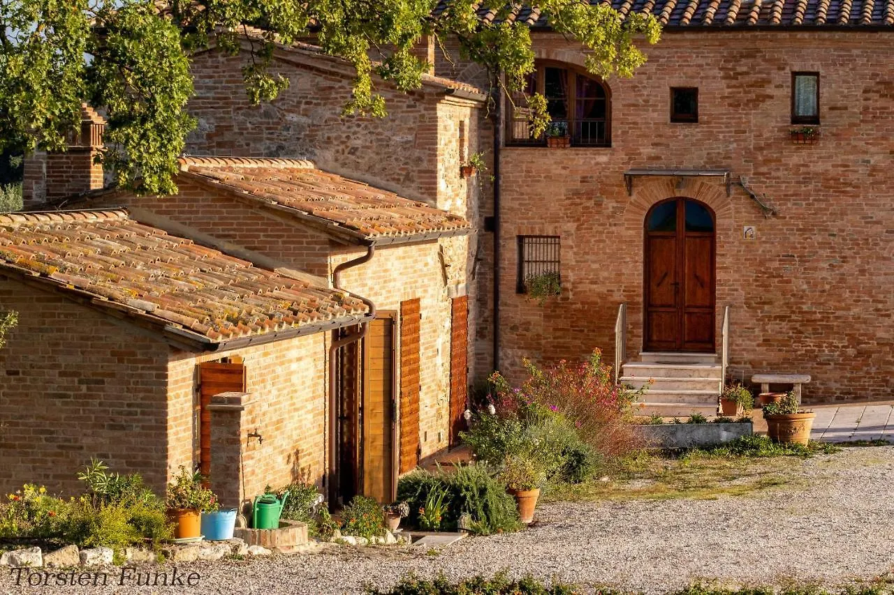 Agriturismo Mocine Asciano 0*,