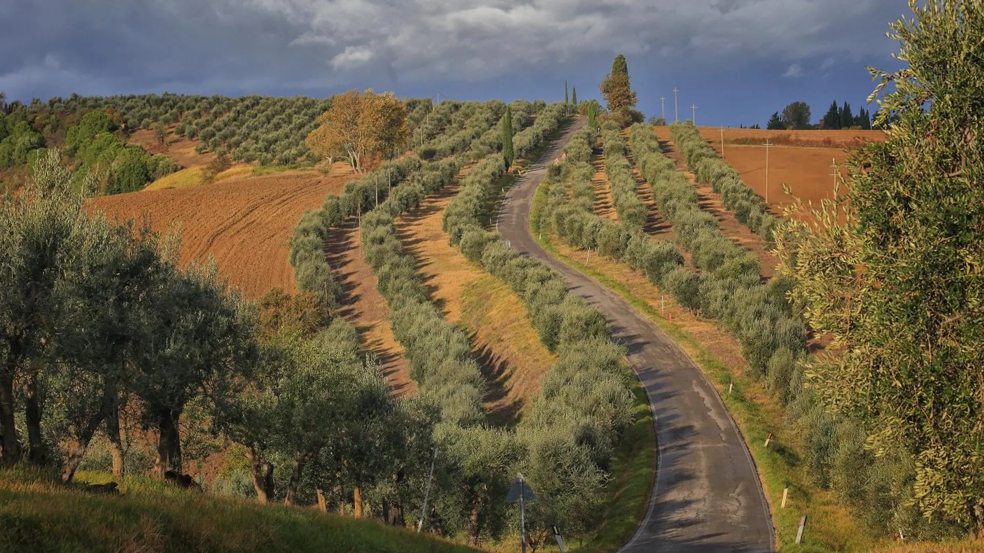 Agriturismo Mocine Asciano Farm stay