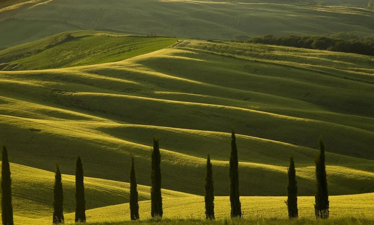 Agriturismo Mocine Asciano