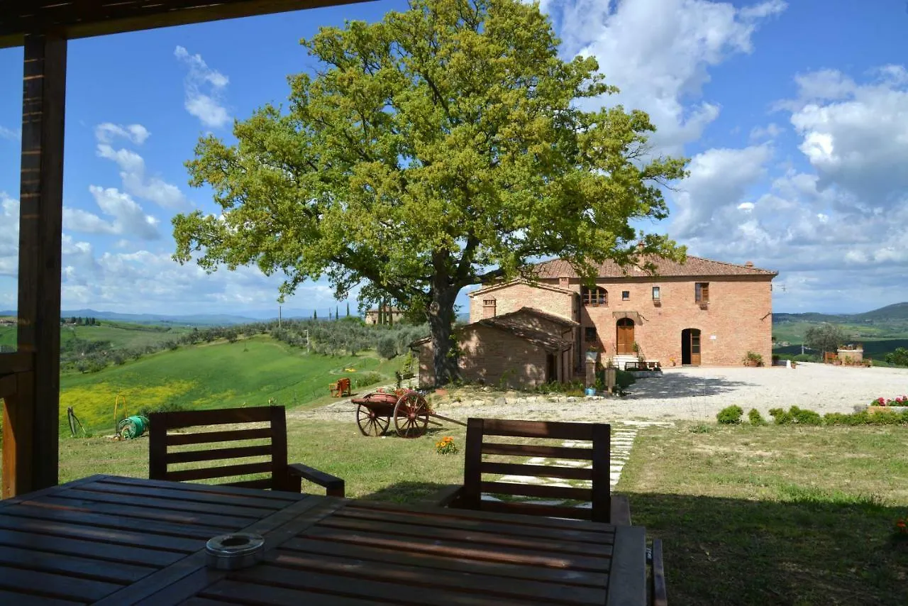 Agriturismo Mocine Asciano