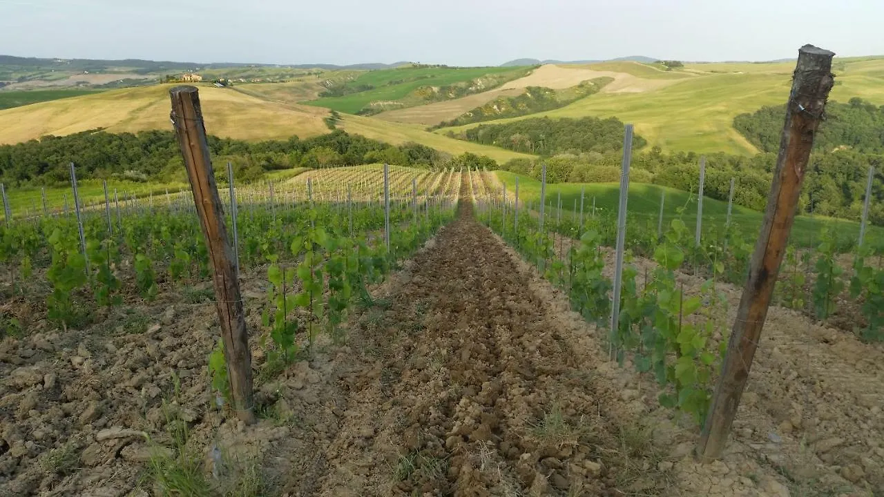 Agriturismo Mocine Asciano Farm stay