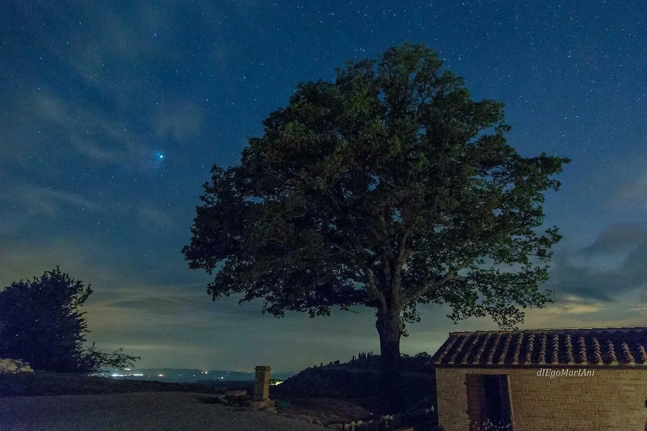 Agriturismo Mocine Asciano 0*,